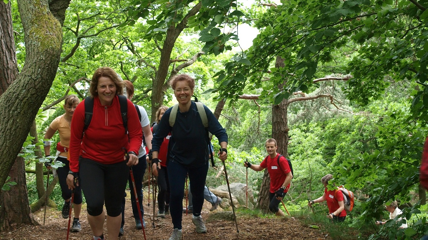 Ideale Bedingungen: Nordic Walking auf dem Rheinsteig